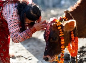 インド面白いネタ